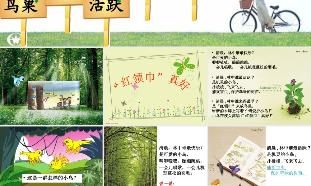 人教二上语文《“红领巾”真好》课件