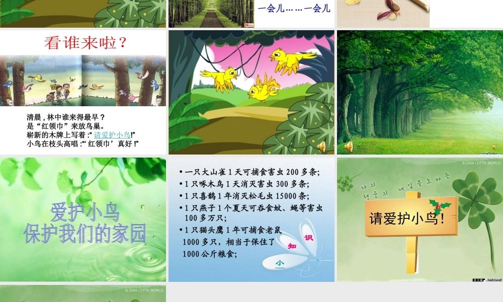 人教二上语文《“红领巾”真好》课件