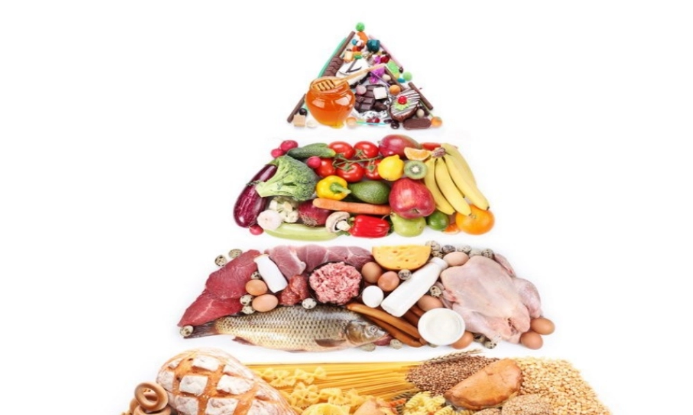 幼儿园幻灯片课程食物的旅行