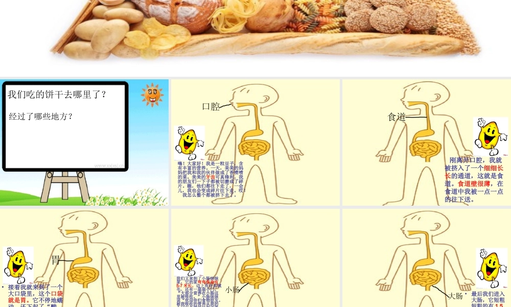 幼儿园幻灯片课程食物的旅行