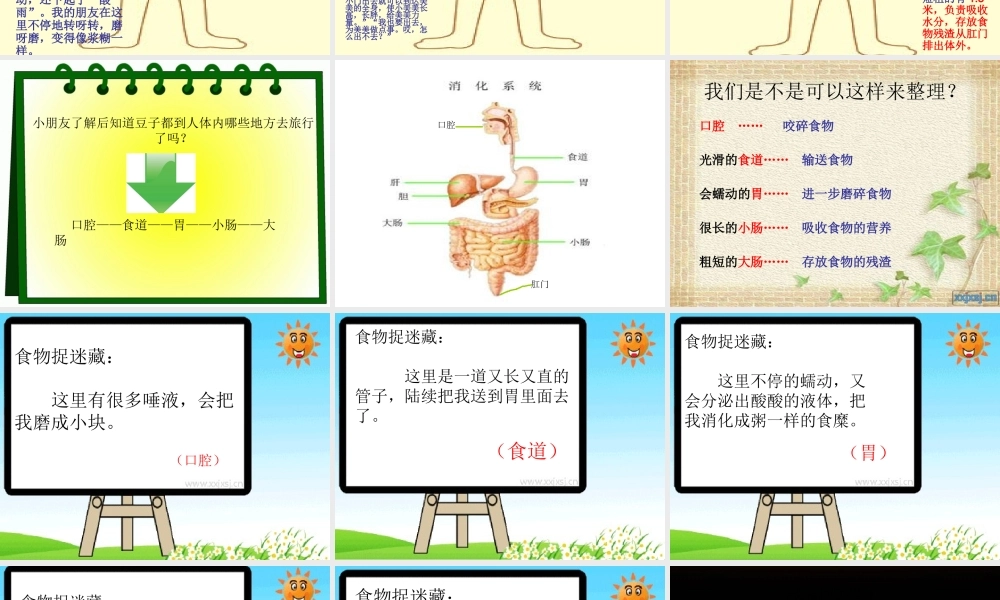 幼儿园幻灯片课程食物的旅行