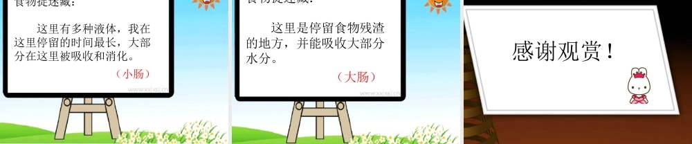 幼儿园幻灯片课程食物的旅行