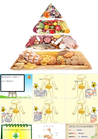 幼儿园幻灯片课程食物的旅行