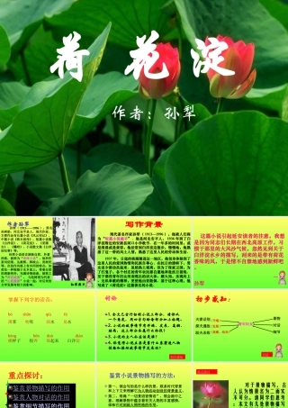 《荷花淀》PPT课件