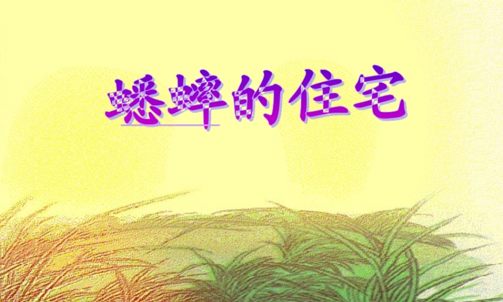 《蟋蟀的住宅》教学课件1