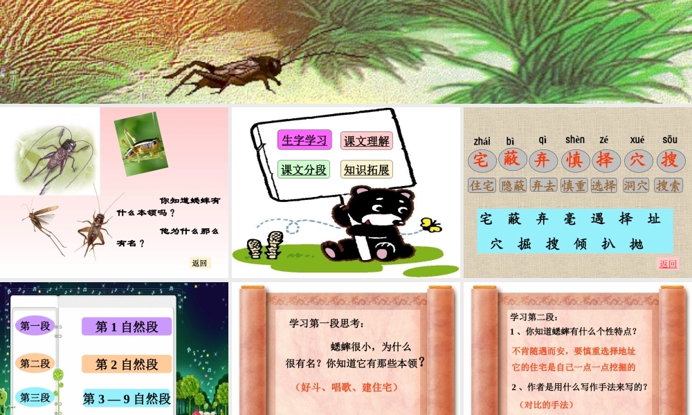 《蟋蟀的住宅》教学课件1