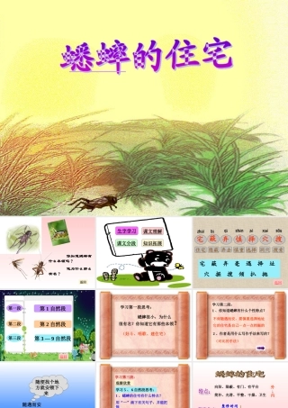 《蟋蟀的住宅》教学课件1