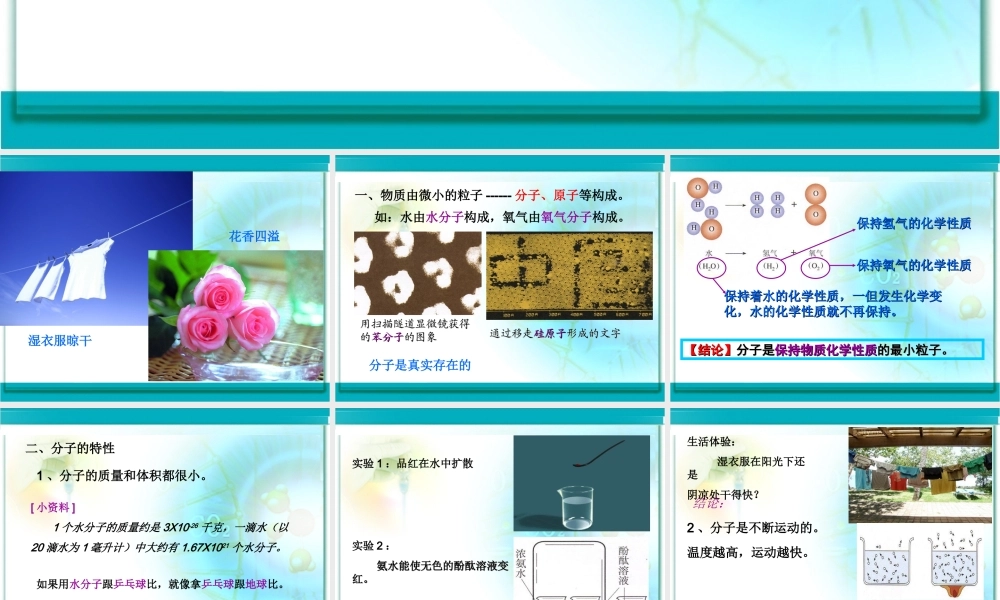 初中化学《分子》PPT课件