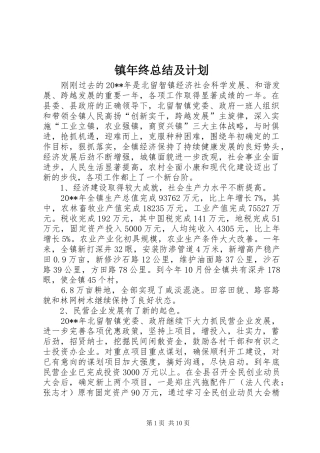 镇年终总结及计划