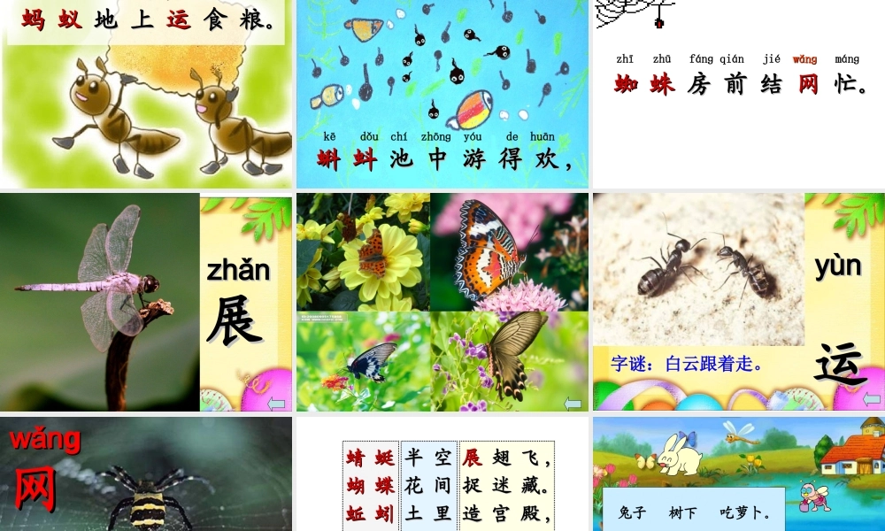 人教版一年级下册识字四课件