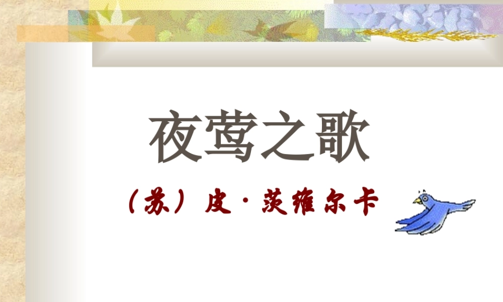 《夜莺之歌》课件