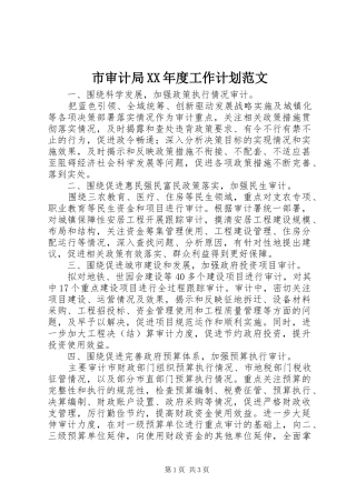 市审计局XX年度工作计划范文