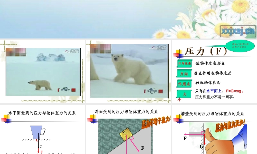 新沪科《81压力的作用效果》课件
