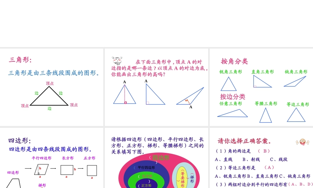 平面图形的认识