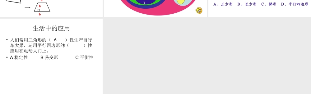 平面图形的认识