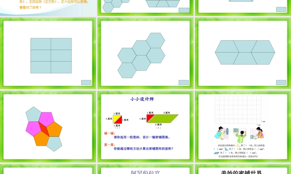 五上六单元铺一铺