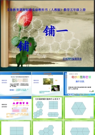 五上六单元铺一铺