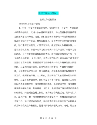 农村工作运行情况【可编辑版】