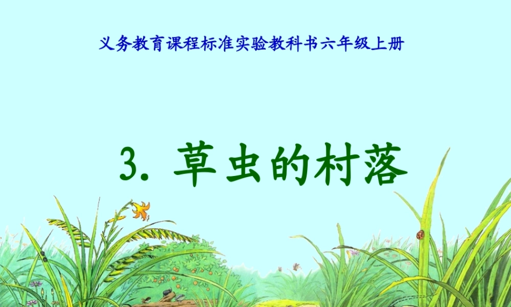 《草虫的村落》课件