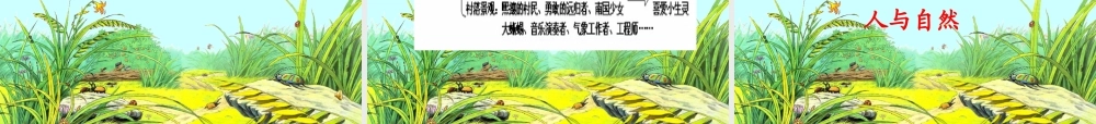 《草虫的村落》课件