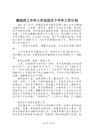 镇政府上半年工作总结及下半年工作计划