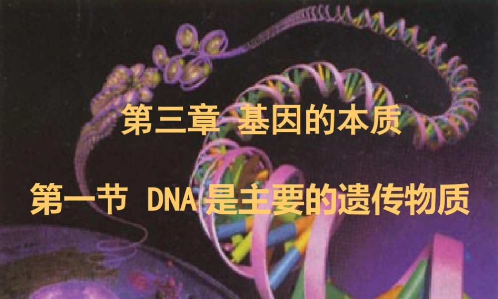 第1节nbspDNA是主要的遗传物质