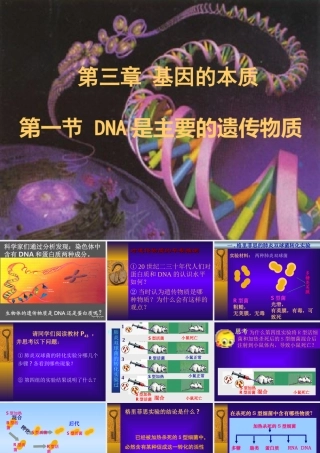 第1节nbspDNA是主要的遗传物质