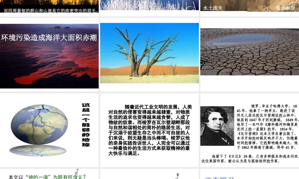 《神的一滴》