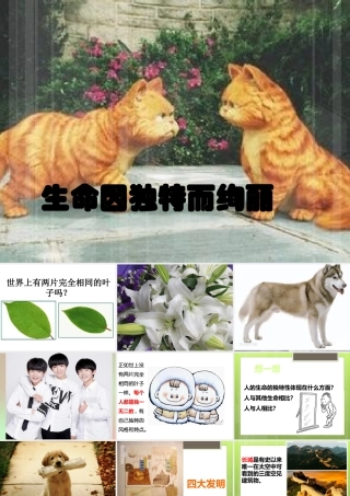 （二）生命因独特而绚丽