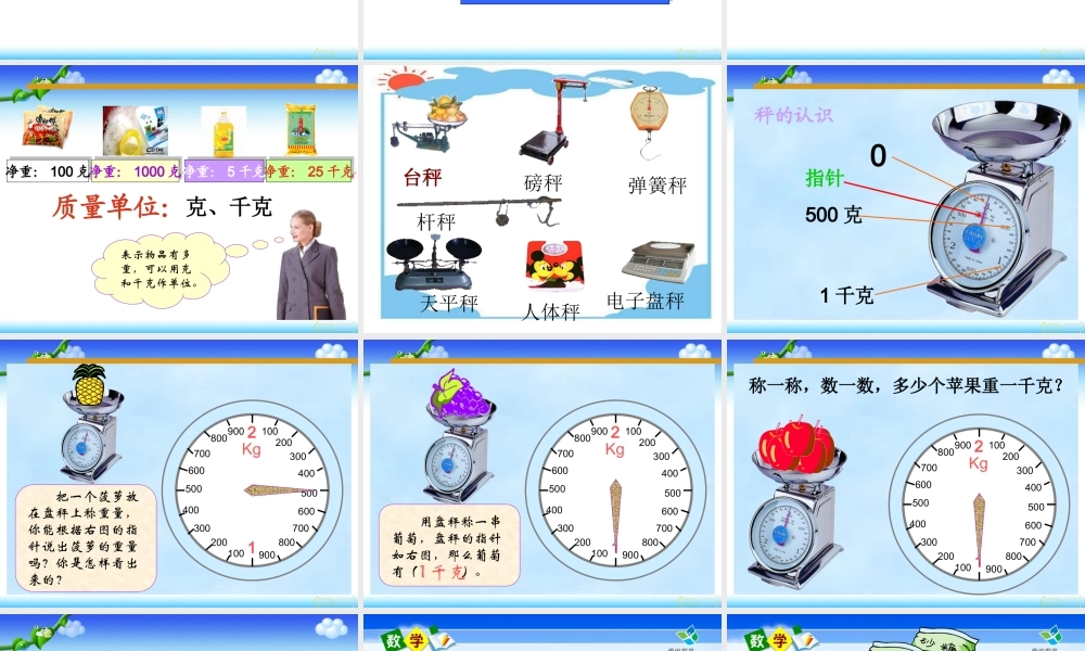 《克与千克》PPT课件 (2)