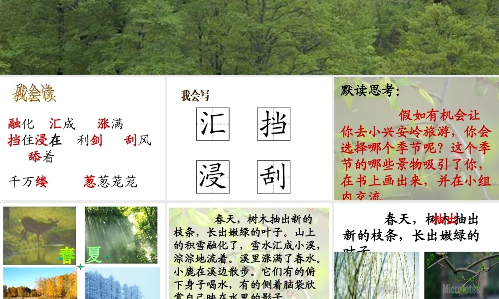 【课件设计】美丽的小兴安岭_语文_小学_张平_49400959-X