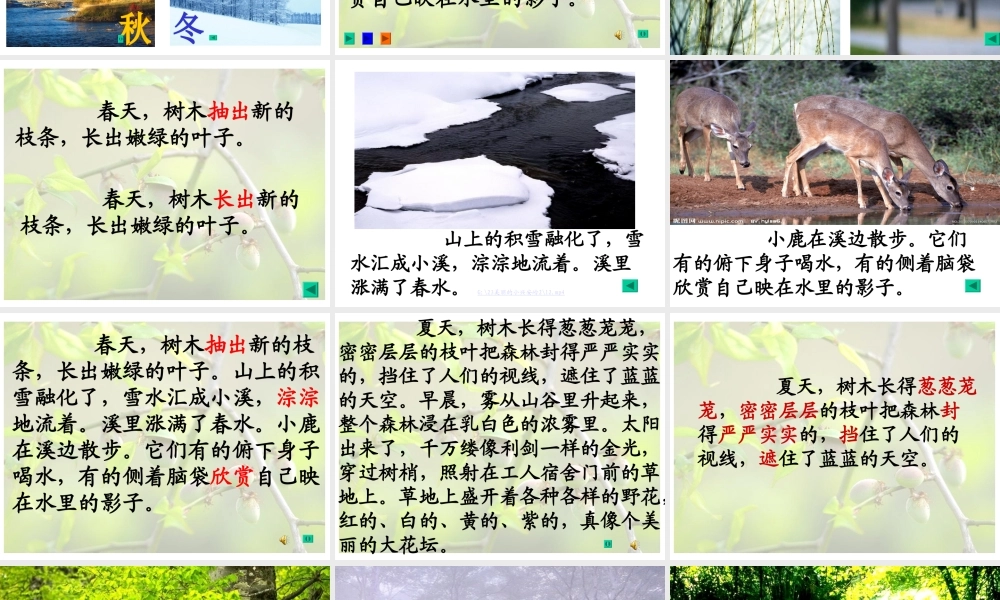 【课件设计】美丽的小兴安岭_语文_小学_张平_49400959-X