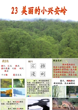 【课件设计】美丽的小兴安岭_语文_小学_张平_49400959-X