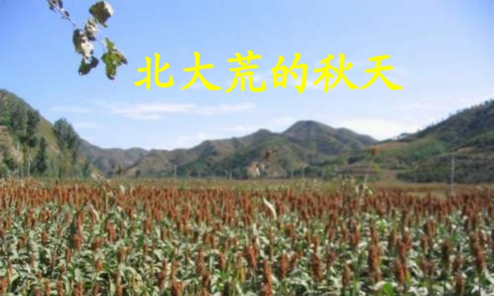 《北大荒的秋天》1