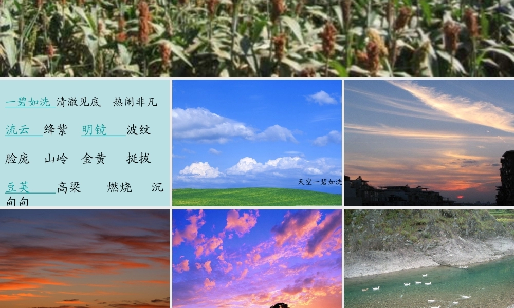 《北大荒的秋天》1