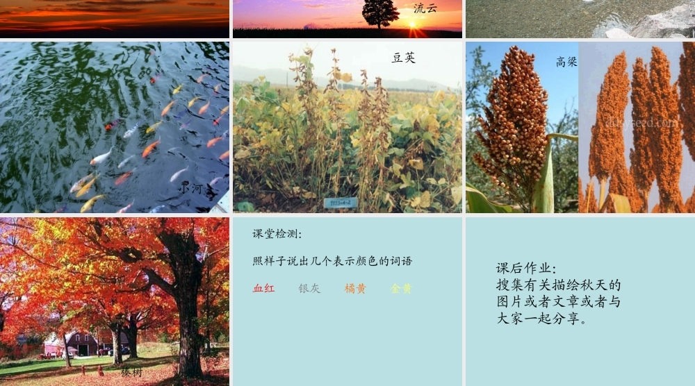 《北大荒的秋天》1