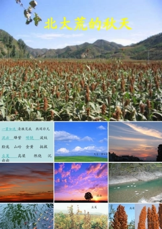 《北大荒的秋天》1