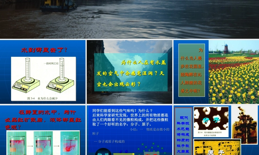 整理后分子和原子