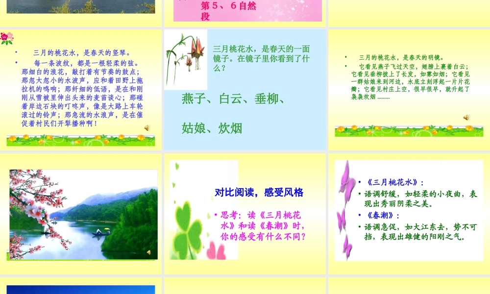 北师大版小学四下《三月桃花水》课件