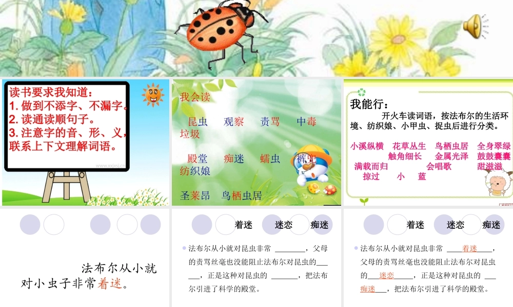 《装满昆虫的衣袋》第一课时PPT