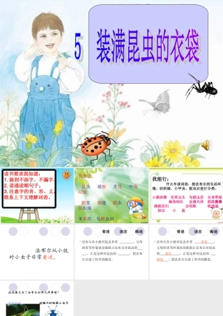 《装满昆虫的衣袋》第一课时PPT
