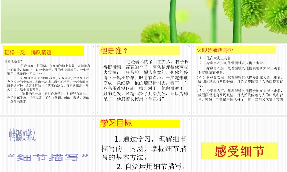 细节描写讲课课件