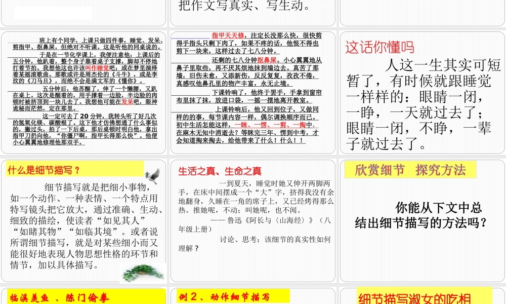 细节描写讲课课件