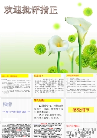 细节描写讲课课件