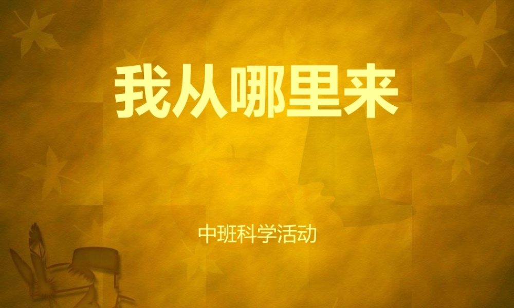 幼儿园课件”我从哪里来“