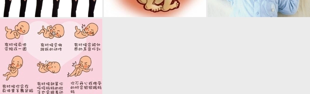 幼儿园课件”我从哪里来“