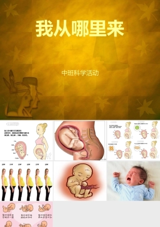 幼儿园课件”我从哪里来“