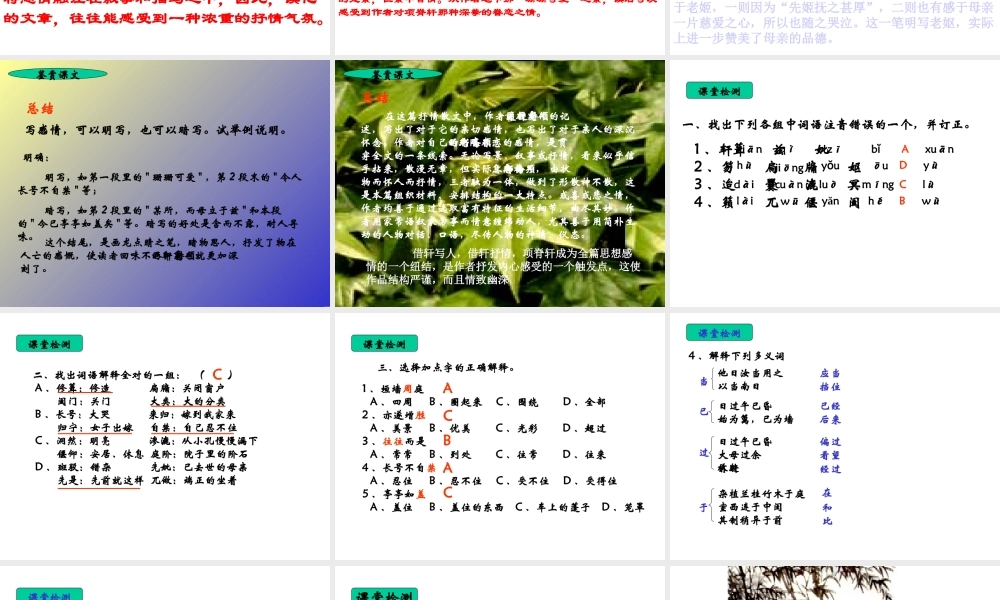 《项脊轩志》课件