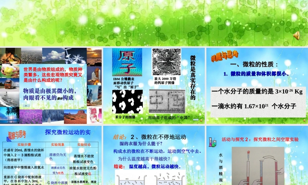 第一节构成物质的基本微粒第一课时《微粒的性质》
