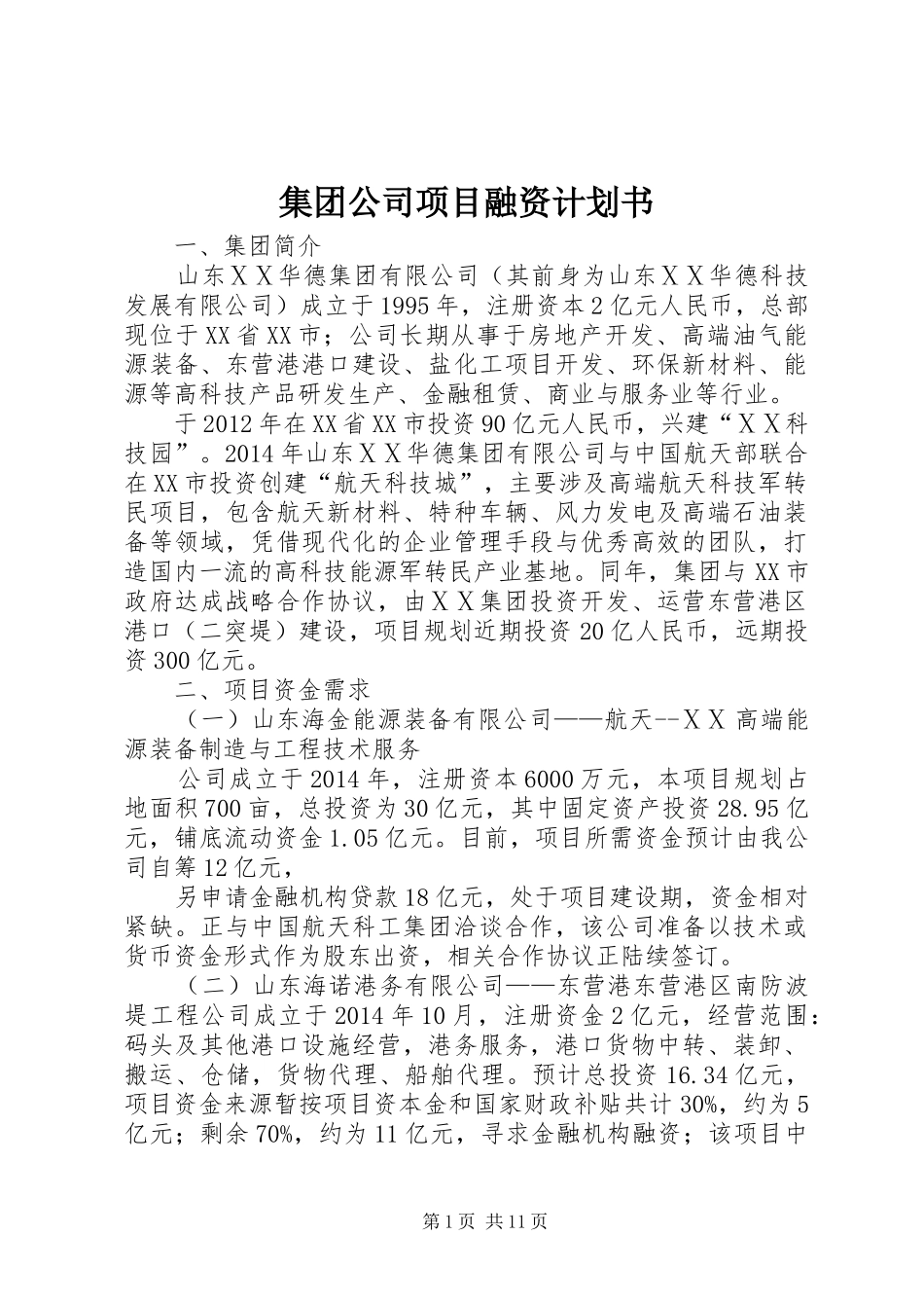 集团公司项目融资计划书_第1页
